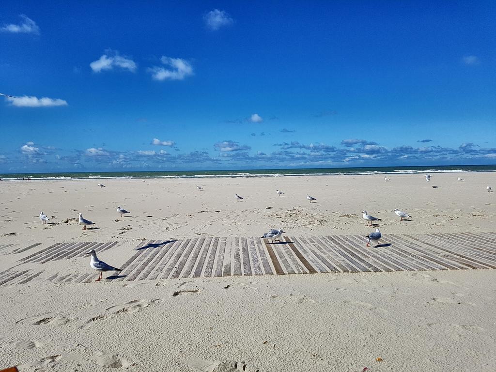 Les Fruits De Mer, Terrasse Sud, Parking Gratuit, Calme Et A Pied